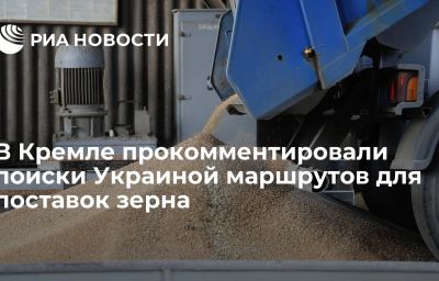 В Кремле прокомментировали поиски Украиной маршрутов для поставок зерна