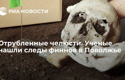 Отрубленные челюсти. Ученые нашли следы финнов в Поволжье