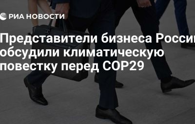 Представители бизнеса России обсудили климатическую повестку перед СОР29