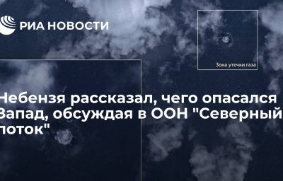 Небензя рассказал, чего опасался Запад, обсуждая в ООН "Северный поток"