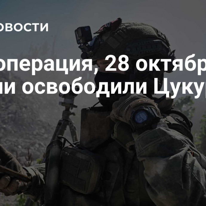 Спецоперация, 28 октября: ВС России освободили Цукурино в ДНР