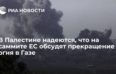 В Палестине надеются, что на саммите ЕС обсудят прекращение огня в Газе