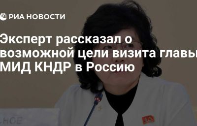 Эксперт рассказал о возможной цели визита главы МИД КНДР в Россию