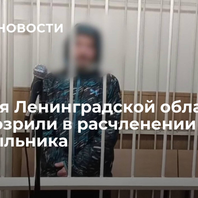 Жителя Ленинградской области заподозрили в расчленении собутыльника