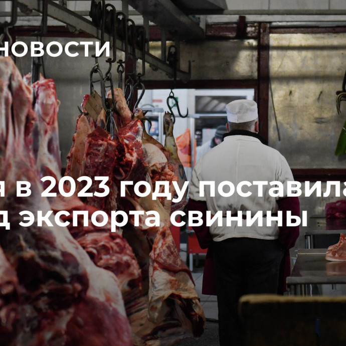 Россия в 2023 году поставила рекорд экспорта свинины