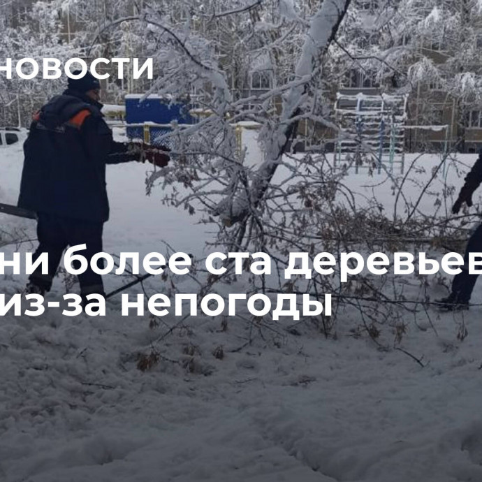 В Рязани более ста деревьев упали из-за непогоды