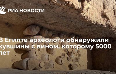 В Египте археологи обнаружили кувшины с вином, которому 5000 лет