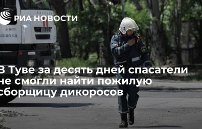 В Туве за десять дней спасатели не смогли найти пожилую сборщицу дикоросов