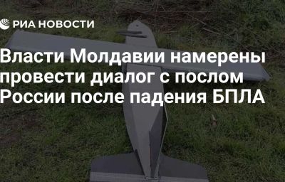 Власти Молдавии намерены провести диалог с послом России после падения БПЛА