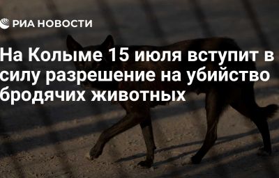 На Колыме 15 июля вступит в силу разрешение на убийство бродячих животных