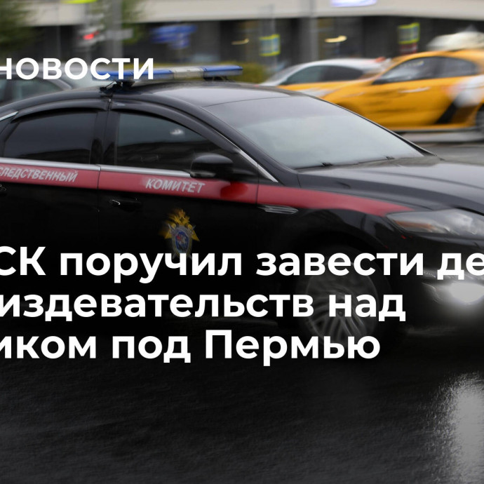 Глава СК поручил завести дело после издевательств над мальчиком под Пермью