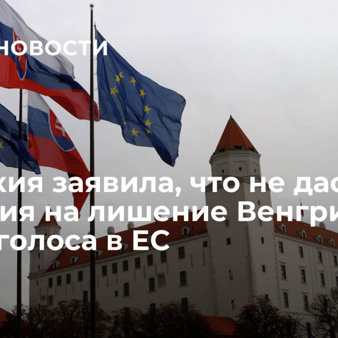 Словакия заявила, что не даст согласия на лишение Венгрии права голоса в ЕС