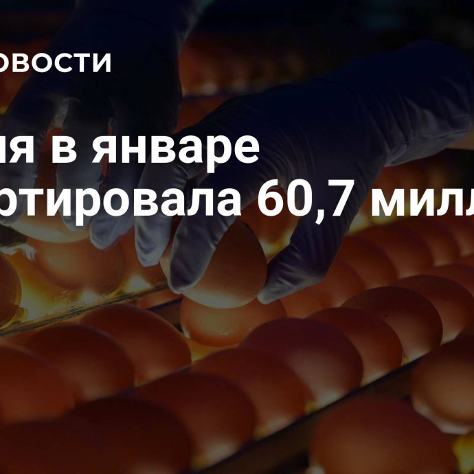 Россия в январе импортировала 60,7 миллиона яиц