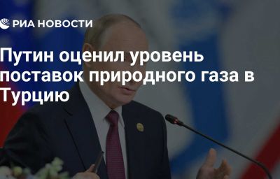 Путин оценил уровень поставок природного газа в Турцию