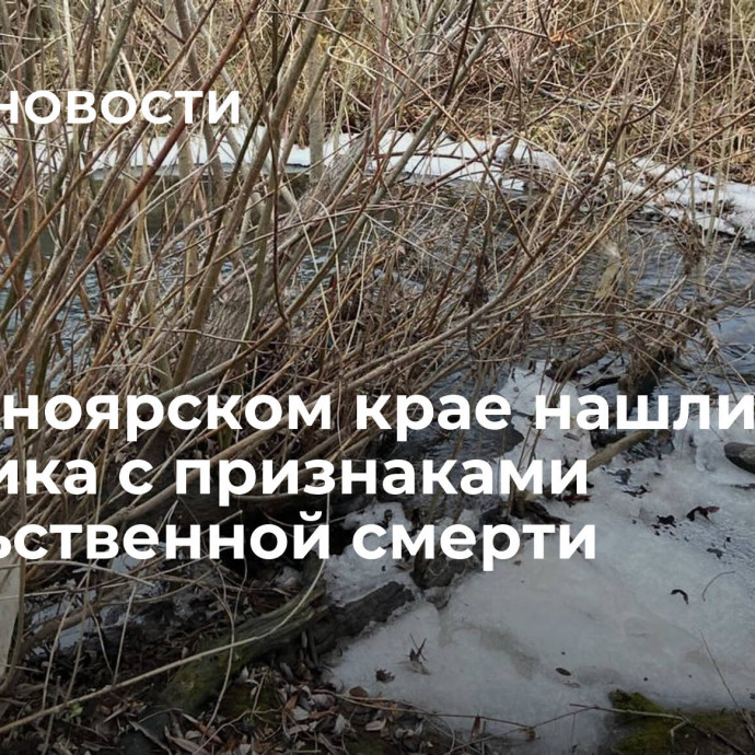 В Красноярском крае нашли тело мальчика с признаками насильственной смерти