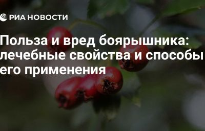 Польза и вред боярышника: лечебные свойства и способы его применения