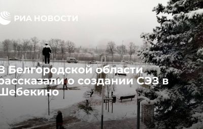 В Белгородской области рассказали о создании СЭЗ в Шебекино