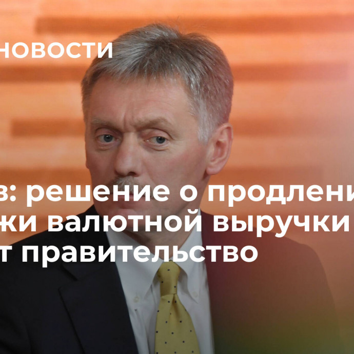 Песков: решение о продлении продажи валютной выручки примет правительство