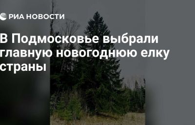 В Подмосковье выбрали главную новогоднюю елку страны