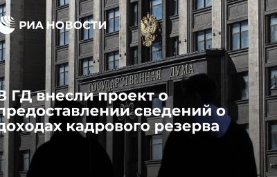 В ГД внесли проект о предоставлении сведений о доходах кадрового резерва