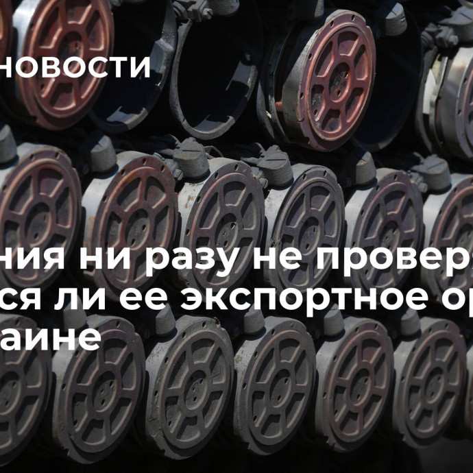 Германия ни разу не проверяла, остается ли ее экспортное оружие на Украине