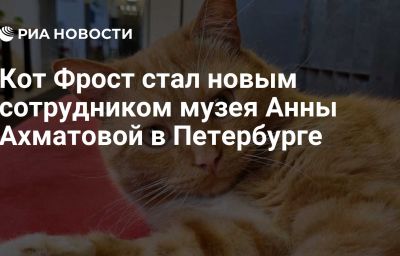 Кот Фрост стал новым сотрудником музея Анны Ахматовой в Петербурге