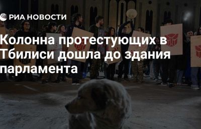 Колонна протестующих в Тбилиси дошла до здания парламента