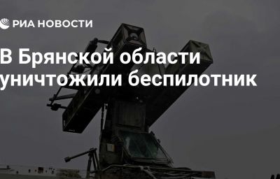 В Брянской области уничтожили беспилотник