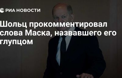 Шольц прокомментировал слова Маска, назвавшего его глупцом