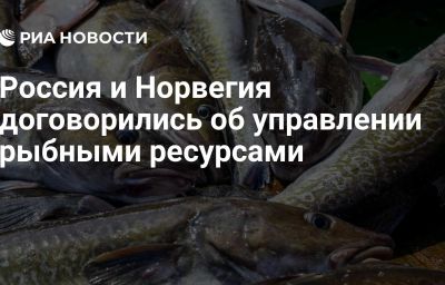 Россия и Норвегия договорились об управлении рыбными ресурсами