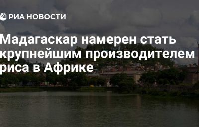 Мадагаскар намерен стать крупнейшим производителем риса в Африке