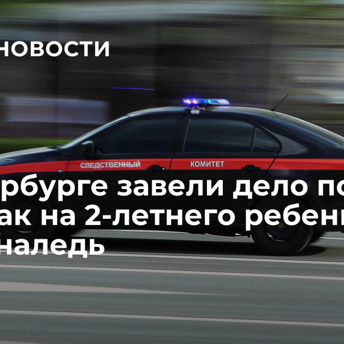 В Петербурге завели дело после того, как на 2-летнего ребенка упала наледь