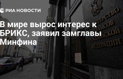 В мире вырос интерес к БРИКС, заявил замглавы Минфина