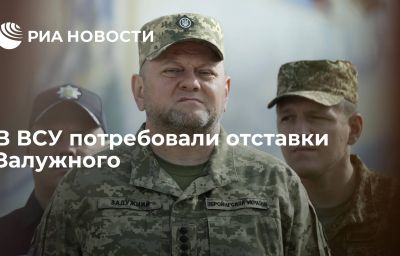 В ВСУ потребовали отставки Залужного