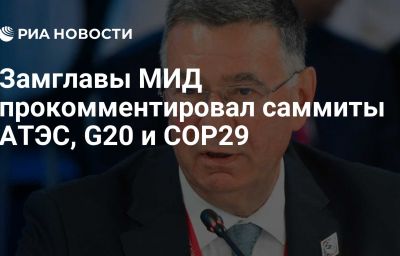 Замглавы МИД прокомментировал саммиты АТЭС, G20 и СОР29