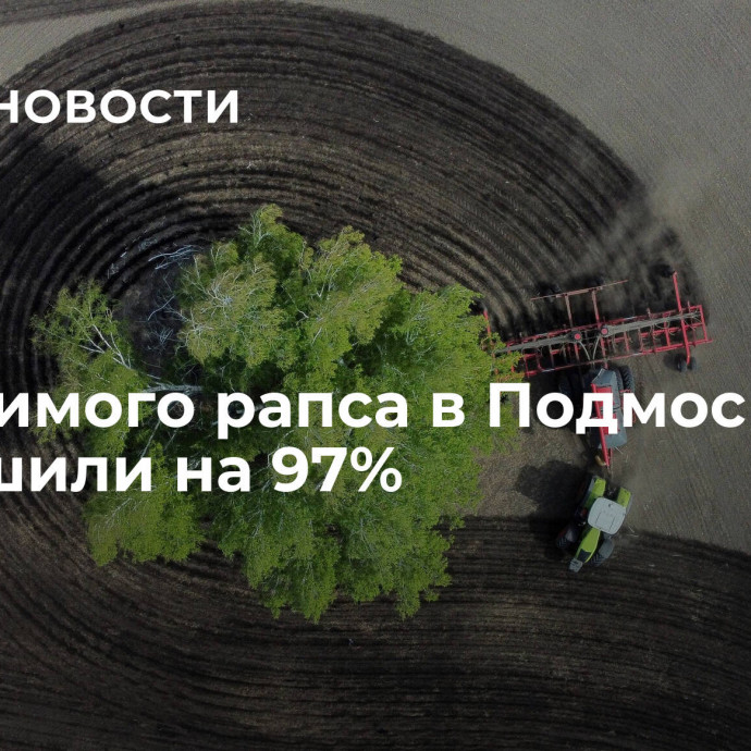 Сев озимого рапса в Подмосковье завершили на 97%