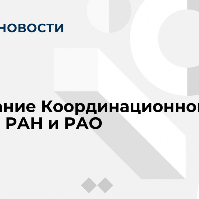 Заседание Координационного совета РАН и РАО