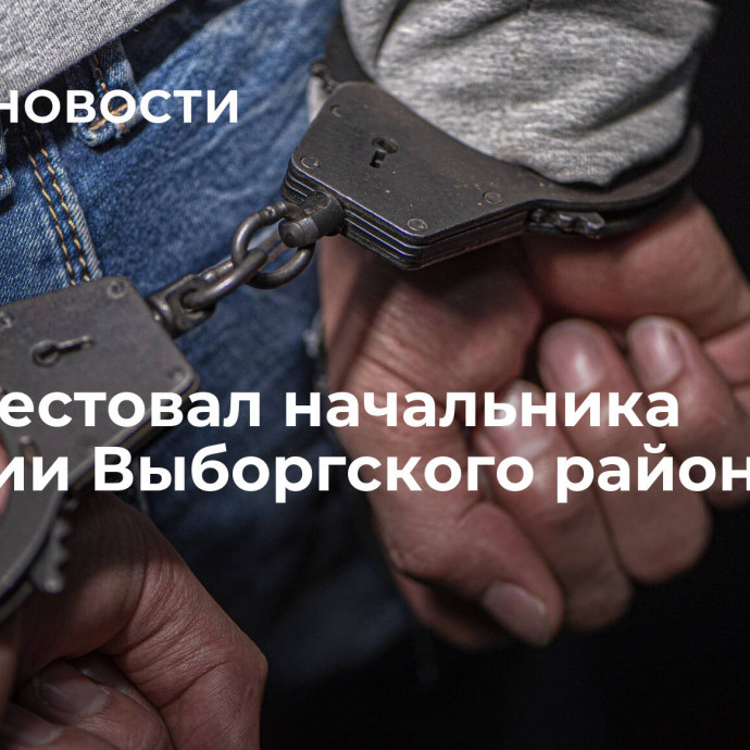 Суд арестовал начальника полиции Выборгского района