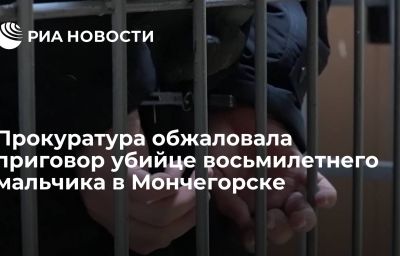 Прокуратура обжаловала приговор убийце восьмилетнего мальчика в Мончегорске