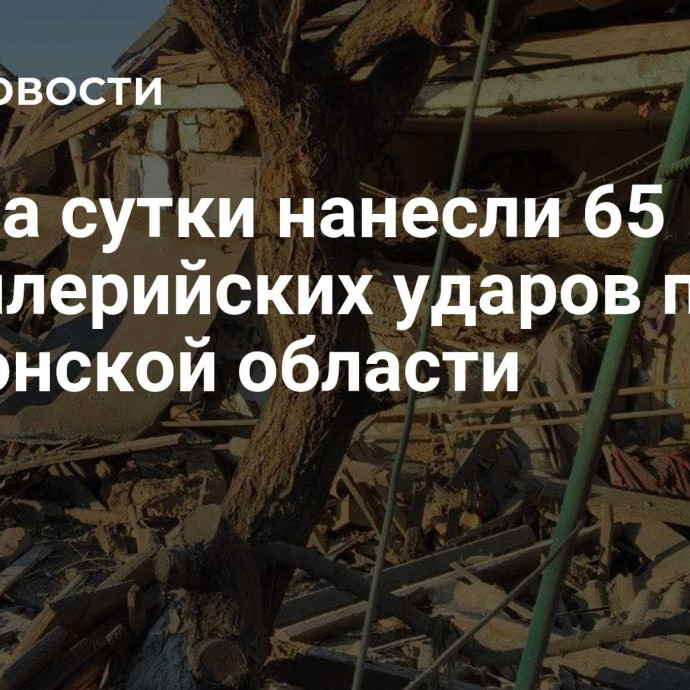 ВСУ за сутки нанесли 65 артиллерийских ударов по Херсонской области