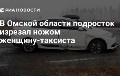 В Омской области подросток изрезал ножом женщину-таксиста