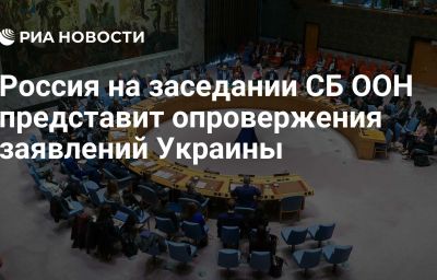 Россия на заседании СБ ООН представит опровержения заявлений Украины