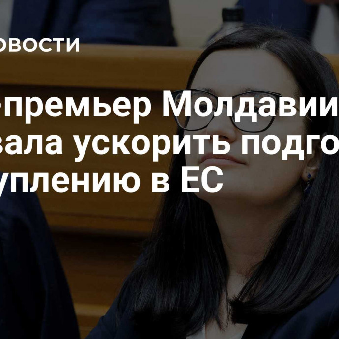 Вице-премьер Молдавии призвала ускорить подготовку к вступлению в ЕС