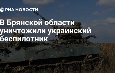 В Брянской области уничтожили украинский беспилотник