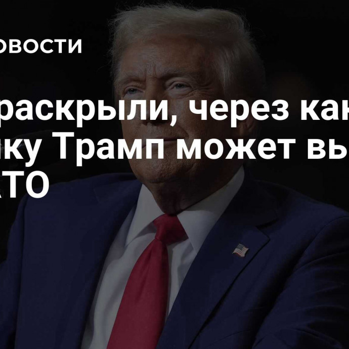 СМИ раскрыли, через какую лазейку Трамп может выйти из НАТО