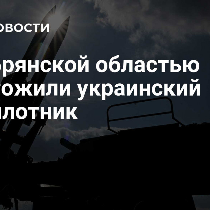 Над Брянской областью уничтожили украинский беспилотник