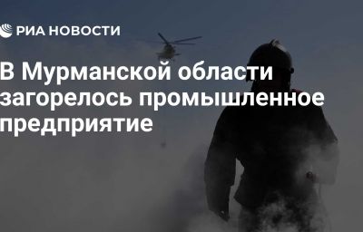 В Мурманской области загорелось промышленное предприятие