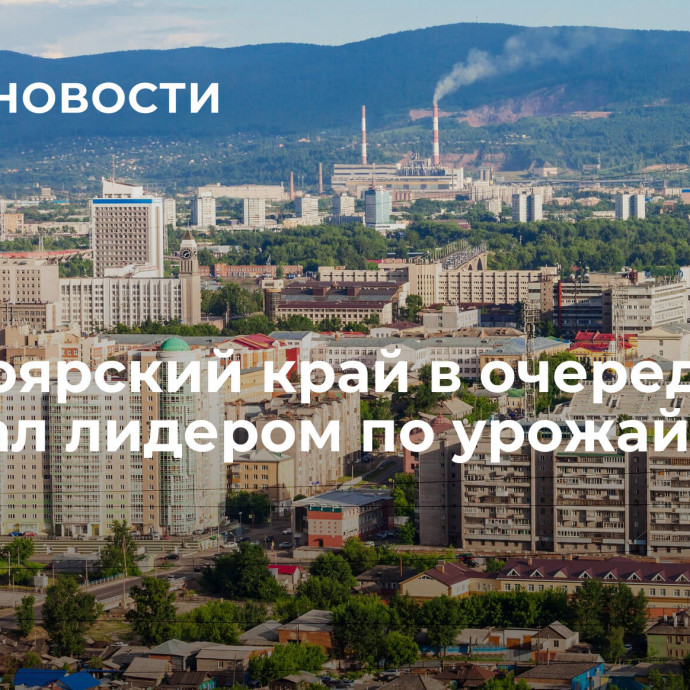 Красноярский край в очередной раз стал лидером по урожайности в СФО