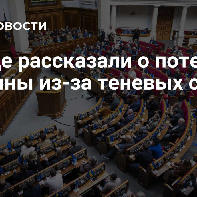 В Раде рассказали о потерях Украины из-за теневых схем