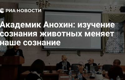 Академик Анохин: изучение сознания животных меняет наше сознание